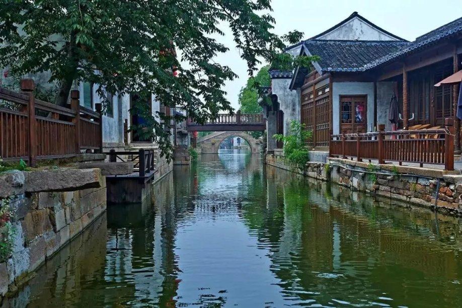 香菜到底怎么吃,10个人中有9个人不知道,快看看万万别吃亏了!
